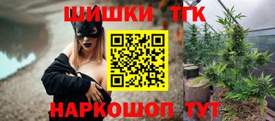 гашик Будённовск