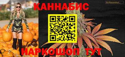 гашик Будённовск