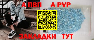 гашик Будённовск