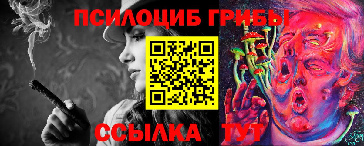 где можно купить наркотик  Вход с VPN  Слободской  Псилоцибиновые грибы мухоморы 